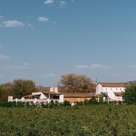 The Luxe Pushkar - A Luxury Farmstay In Pushkar Extérieur photo