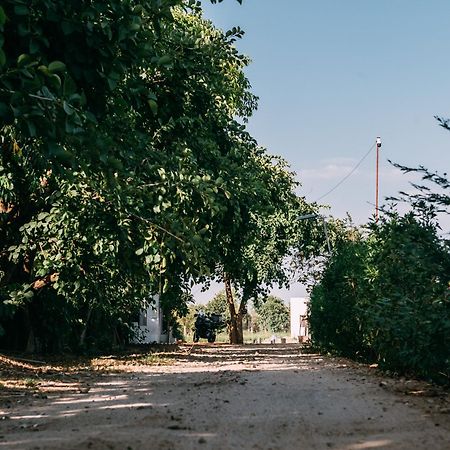 The Luxe Pushkar - A Luxury Farmstay In Pushkar Extérieur photo