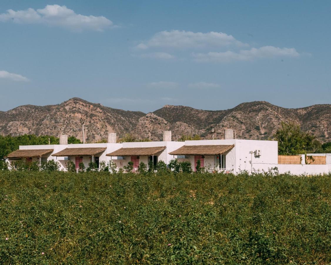 The Luxe Pushkar - A Luxury Farmstay In Pushkar Extérieur photo