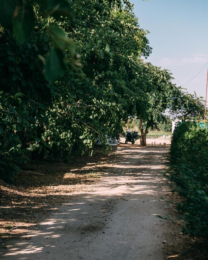 The Luxe Pushkar - A Luxury Farmstay In Pushkar Extérieur photo