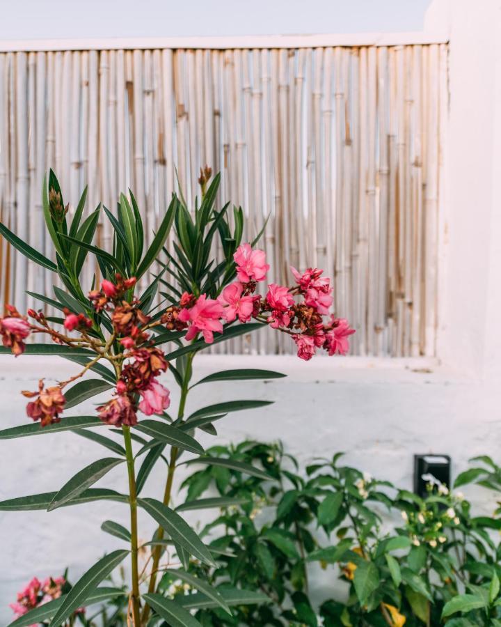 The Luxe Pushkar - A Luxury Farmstay In Pushkar Extérieur photo