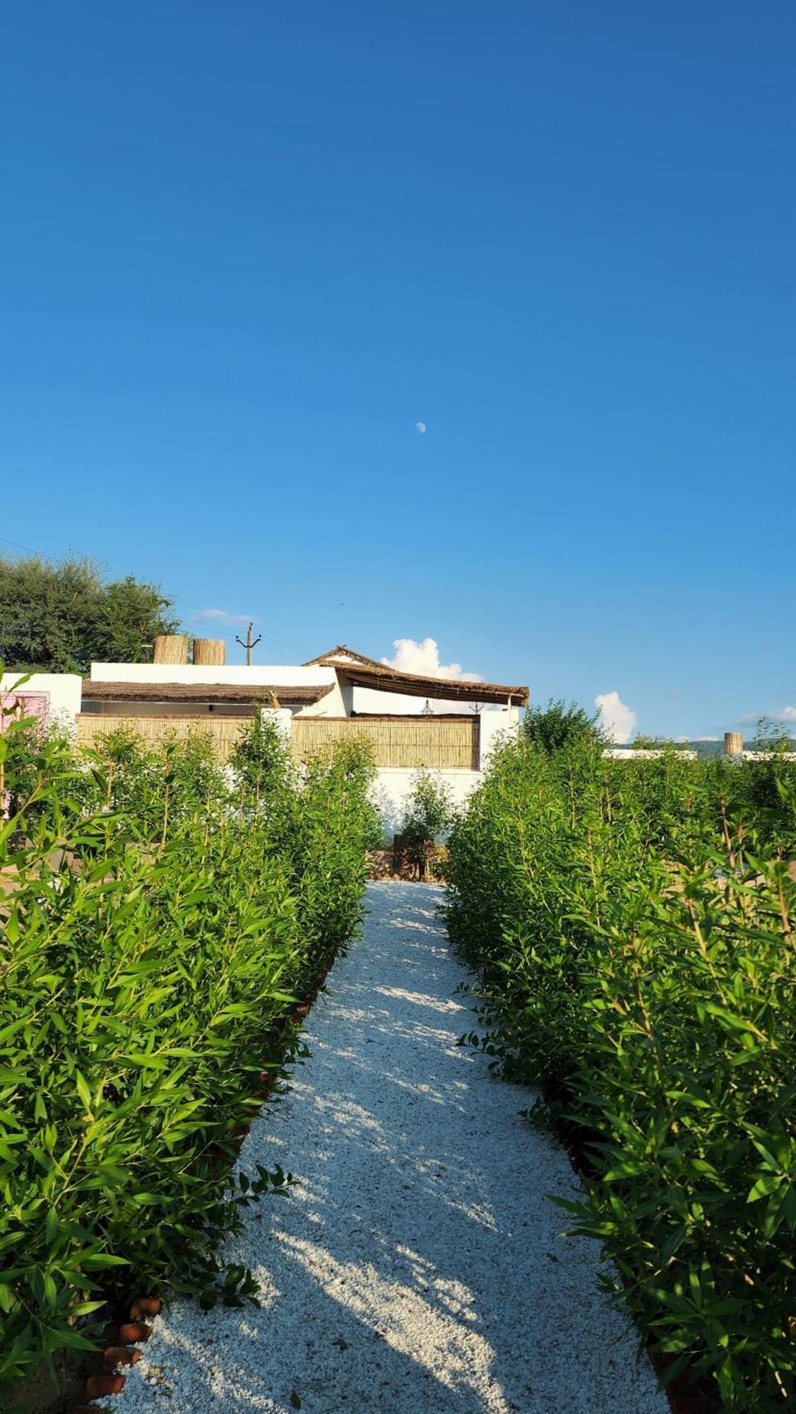 The Luxe Pushkar - A Luxury Farmstay In Pushkar Extérieur photo