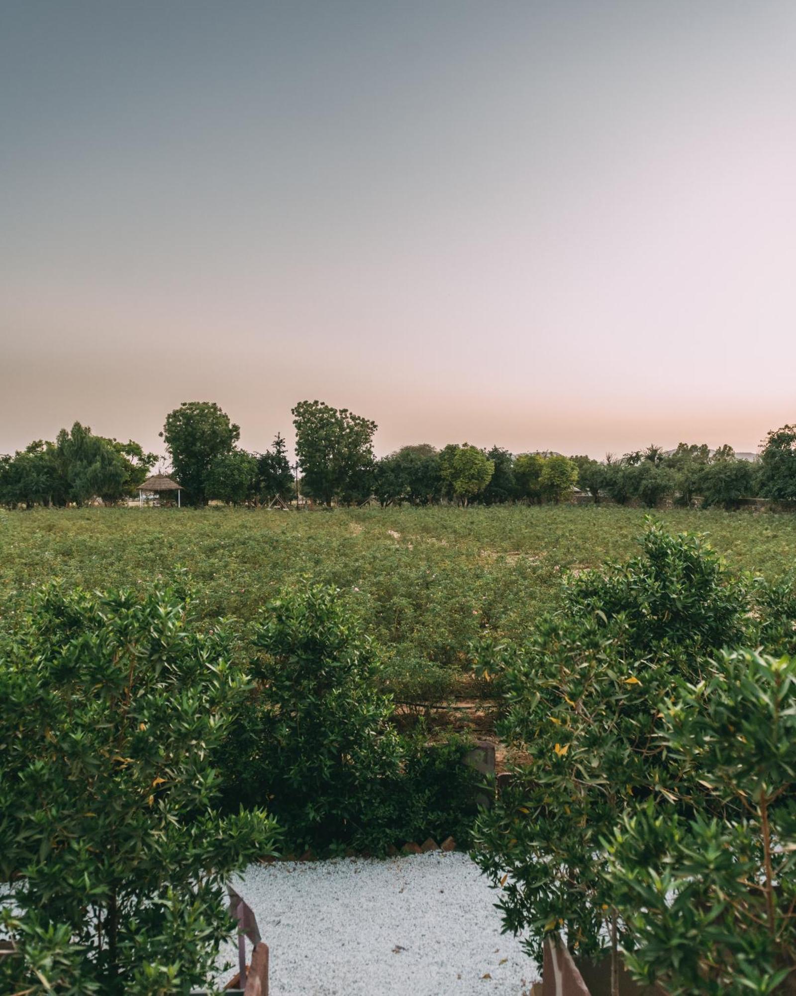 The Luxe Pushkar - A Luxury Farmstay In Pushkar Extérieur photo