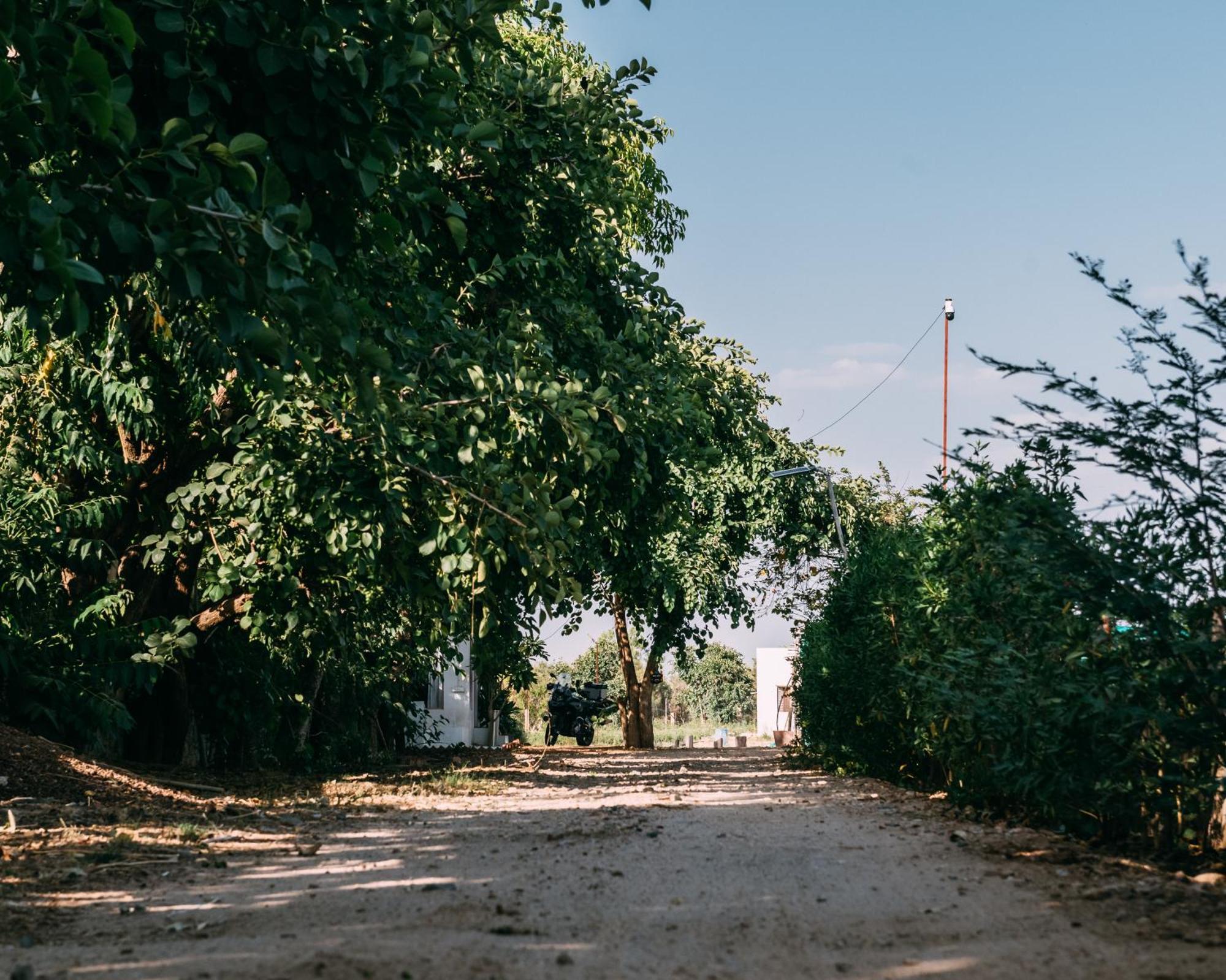The Luxe Pushkar - A Luxury Farmstay In Pushkar Extérieur photo